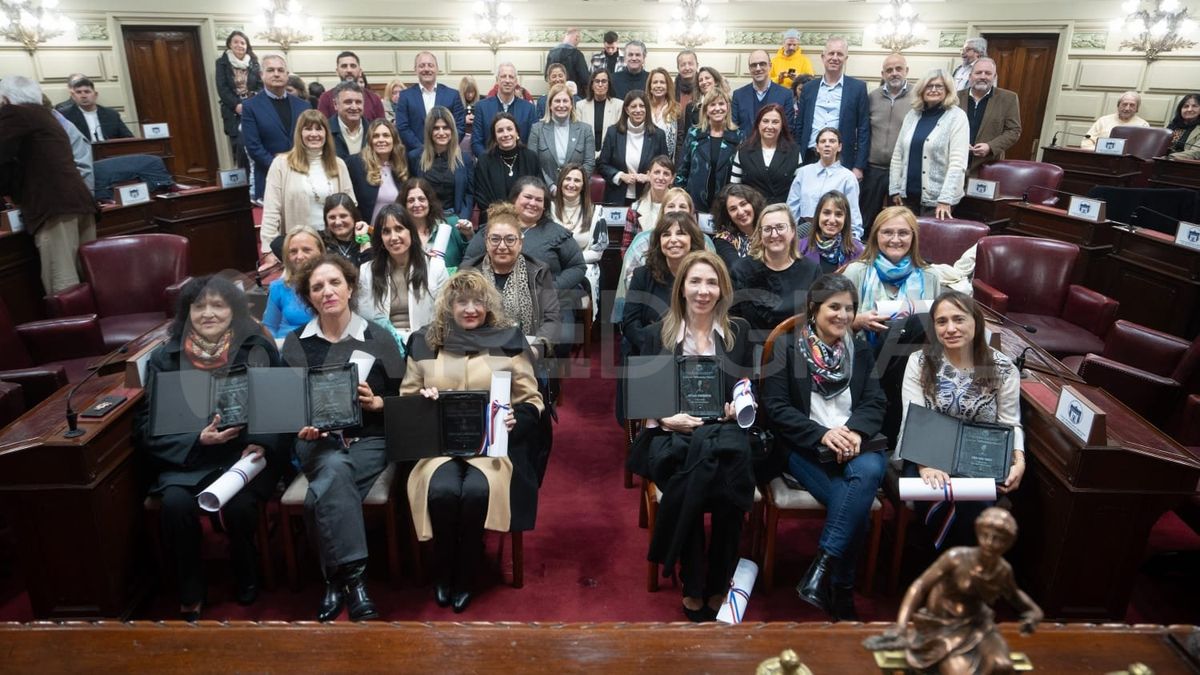 El reconocimiento de los diputados y las diputadas a las periodistas fue por su labor periodística en la lucha por la igualdad de género.