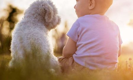 Mi perro tiene celos de mi bebé ¿Qué hago?