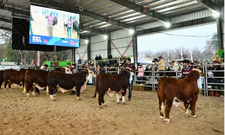 expo rural de san justo: cuatro dias que pueden transformar los proximos anos expo rural de san justo: cuatro dias que pueden transformar los proximos anos