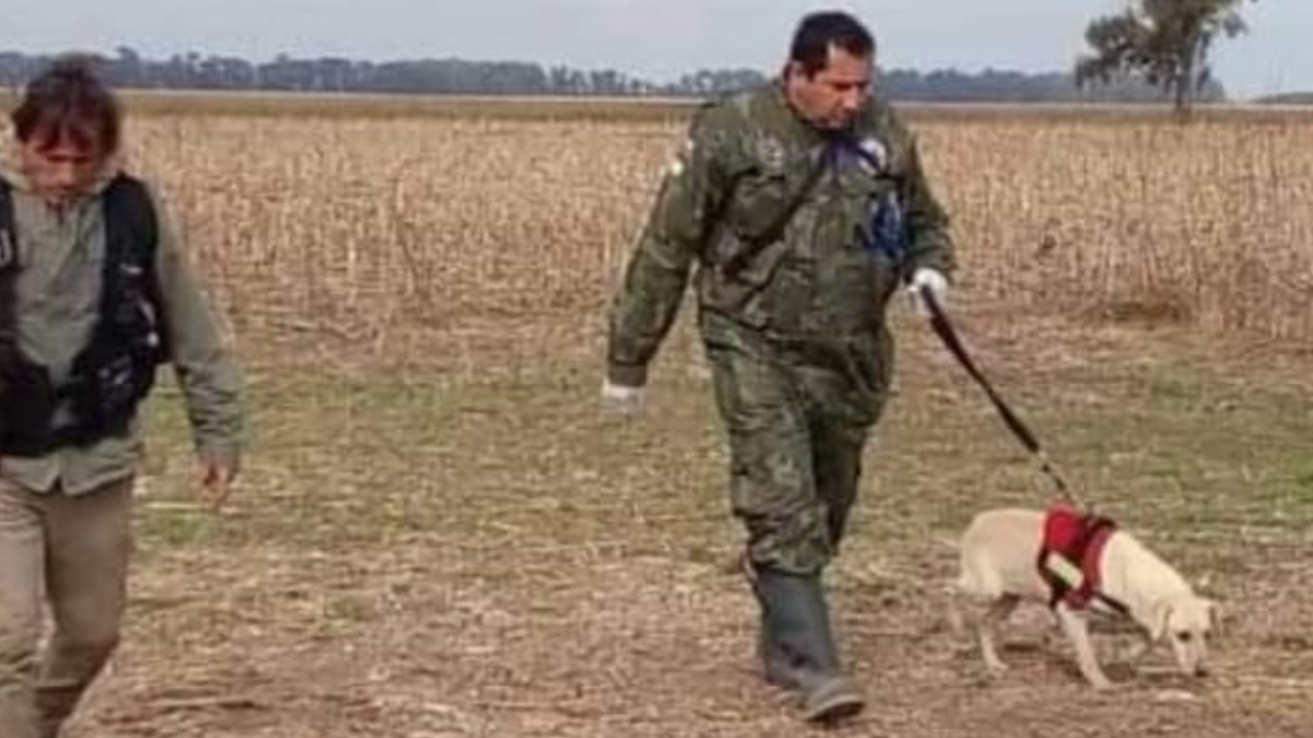 Santiago Díaz junto a Nube, en pleno trabajo de búsqueda.
