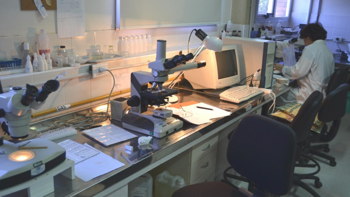 Desde 2008 el instituto cuenta con un nuevo edificio ubicado en Ciudad Universitaria UNL, en cercanía de la Laguna Setúbal.