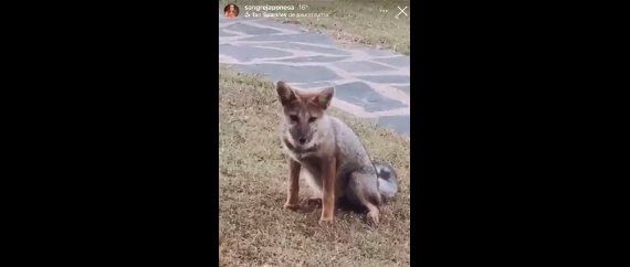 las nuevas grabaciones son en Tandil