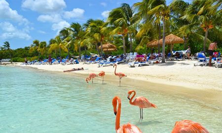 Aruba crece como destino premium gracias a su seguridad, conectividad aérea y servicios de primer nivel Aruba crece como destino premium gracias a su seguridad, conectividad aérea y servicios de primer nivel