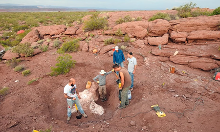 El hallazgo del CONICET en Neuquén: Astigmasaura genuflexa, el nuevo dinosaurio patagónico El hallazgo del CONICET en Neuquén: Astigmasaura genuflexa, el nuevo dinosaurio patagónico