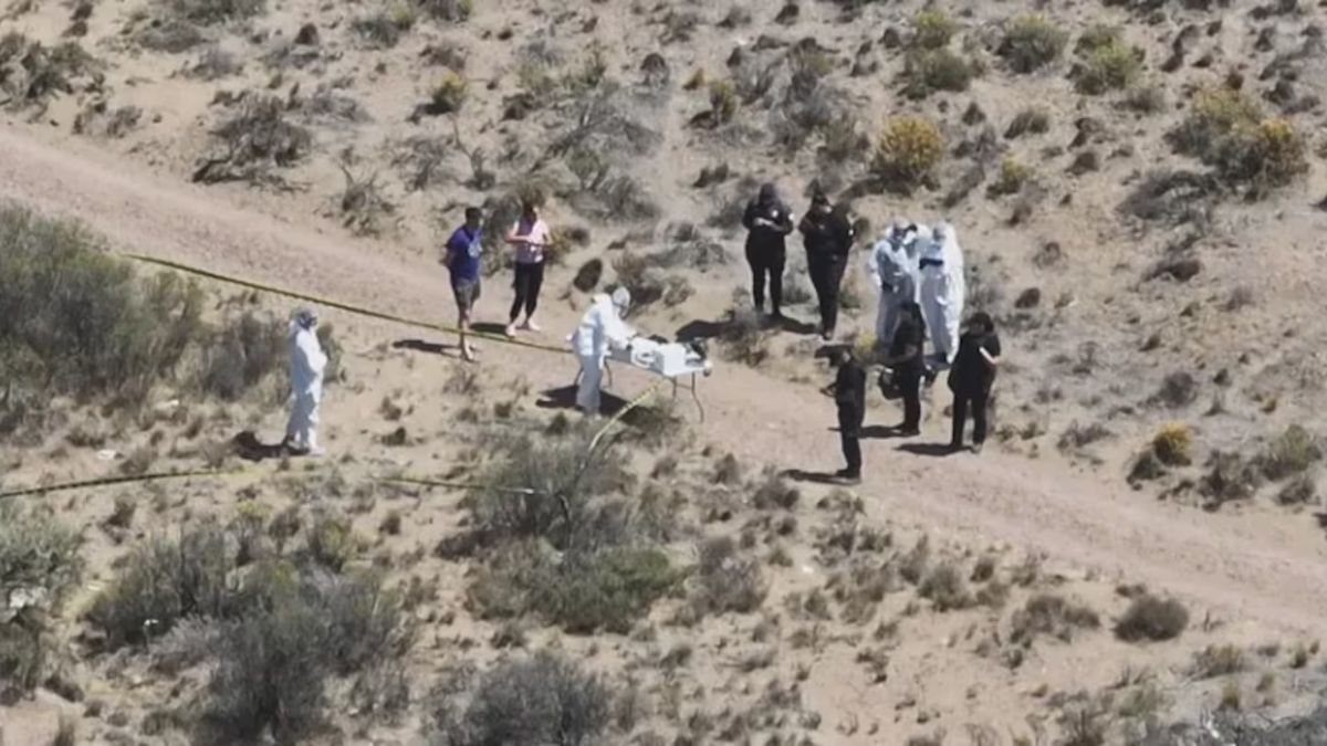 Un hombre que salió a correr encontró restos humanos en un descampado en Santa Cruz. (Foto: Canal 2 Caleta Olivia).