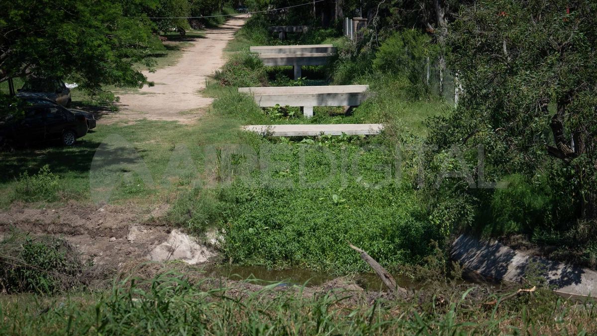 El canal de las Sombras, en el límite entre Rincón y Santa Fe, también acumula mucha vegetación. El canal de las Sombras, en el límite entre Rincón y Santa Fe, también acumula mucha vegetación.