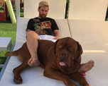 ¿Qué es de la vida de Hulk, el perro de Lionel Messi?. ¿Qué es de la vida de Hulk, el perro de Lionel Messi?.