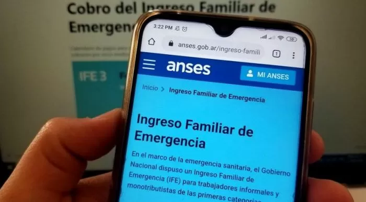 Anses IFE 5: cómo actualizar un dato vital para cobrar el nuevo bono 1 Cómo actualizar un dato vital en Anses