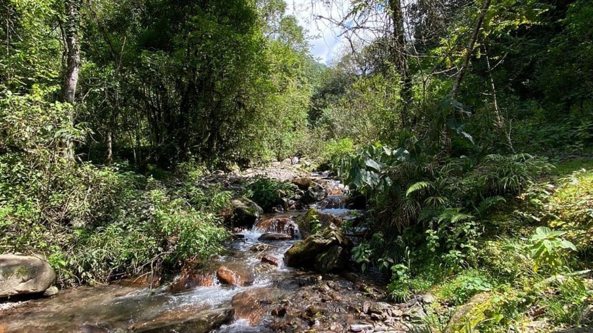 La Quebrada de San Lorenzo es un atractivo natural que combina senderos, vegetación y vistas panorámicas. La Quebrada de San Lorenzo es un atractivo natural que combina senderos, vegetación y vistas panorámicas.