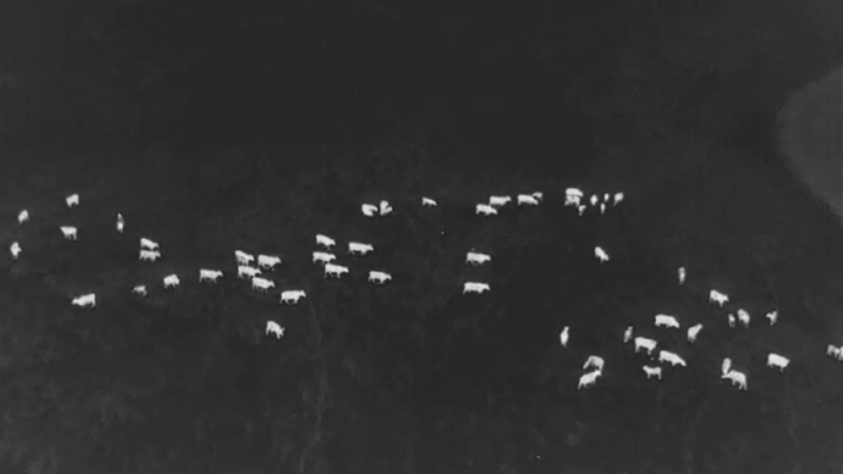 Así se ve la zona de rastrillaje por la noche. Así se ve la zona de rastrillaje por la noche.