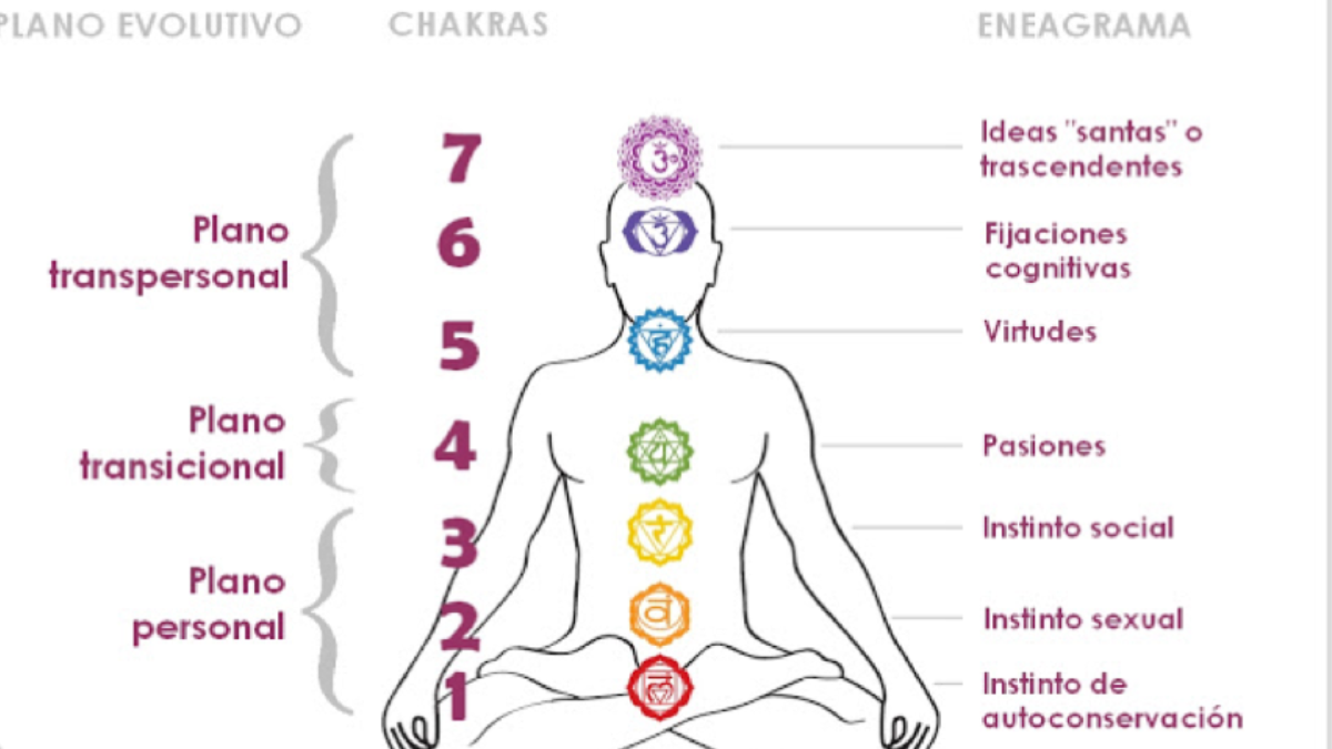 Ambos sistemas holísticos, el Eneagrama y los Chakras, tienen en común que son, de hecho, mapas de la evolución de la conciencia, o dicho de otro modo, esquemas generales del proceso de desarrollo integral del ser