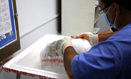 La ministra de Salud, Sonia Martorano, remarcó el trabajo realizado en todos los vacunatorios y destacó que “estamos llevando adelante un operativo histórico articulado en toda la provincia de Santa Fe”. La ministra de Salud, Sonia Martorano, remarcó el trabajo realizado en todos los vacunatorios y destacó que “estamos llevando adelante un operativo histórico articulado en toda la provincia de Santa Fe”.