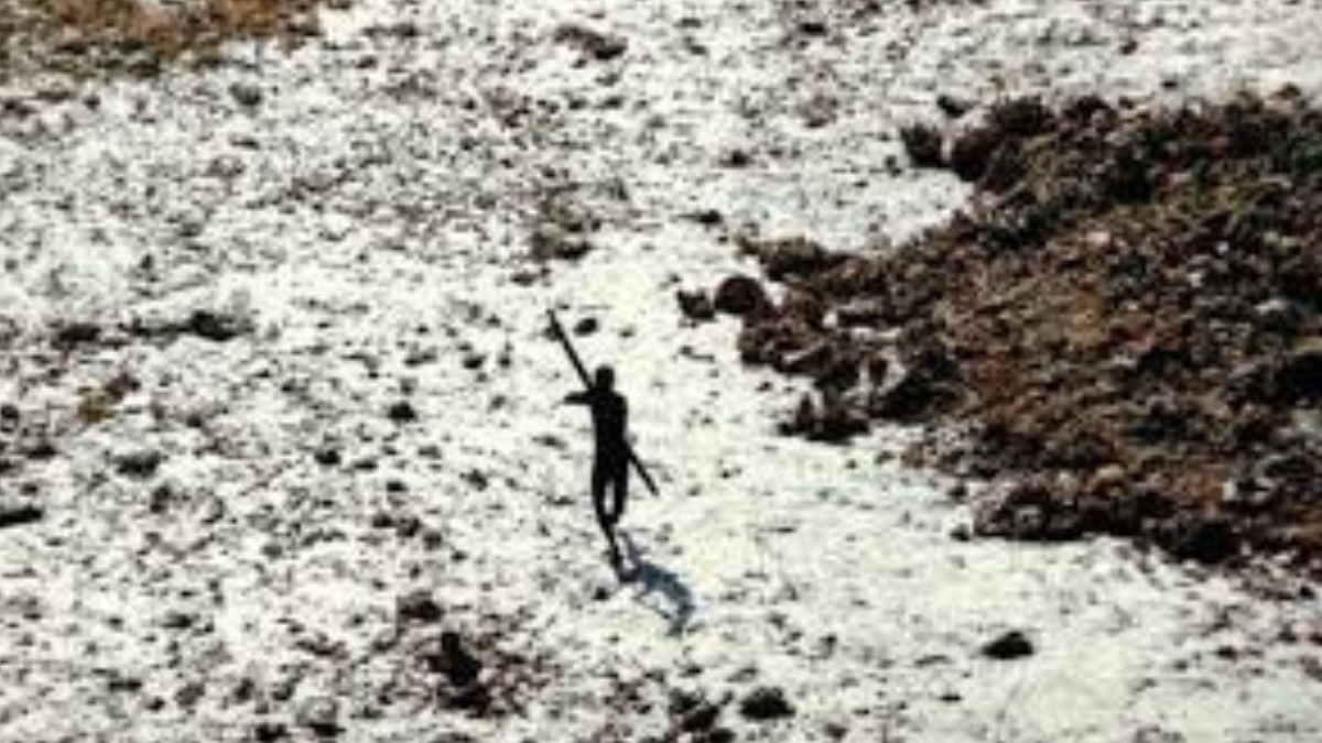 La India prohibió cualquier tipo de visita a la isla para preservar la vida de los sentineleses y evitar riesgos sanitarios. La India prohibió cualquier tipo de visita a la isla para preservar la vida de los sentineleses y evitar riesgos sanitarios.