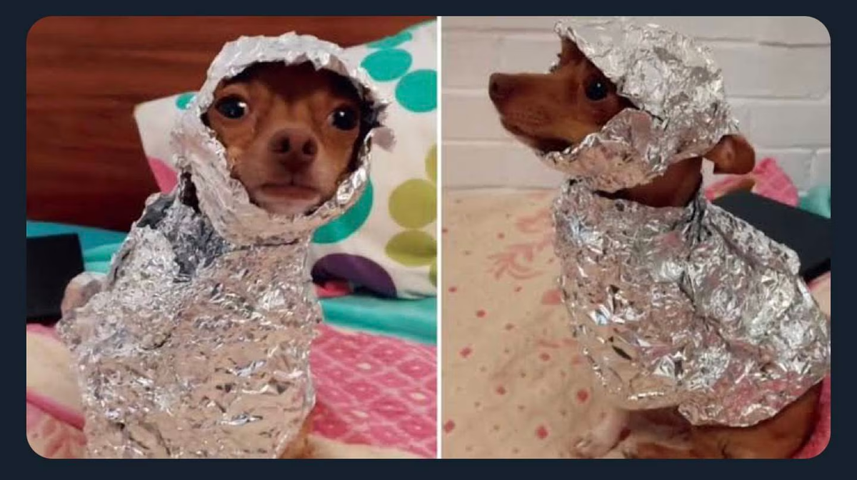 Los mejores memes sobre ovnis