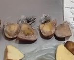 Una mujer intentó ingresar marihuana dentro de papas a la cárcel de Las Flores. Una mujer intentó ingresar marihuana dentro de papas a la cárcel de Las Flores.