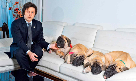 Perros clonados de Javier Milei: polémica y seguridad en la quinta de Olivos Perros clonados de Javier Milei: polémica y seguridad en la quinta de Olivos