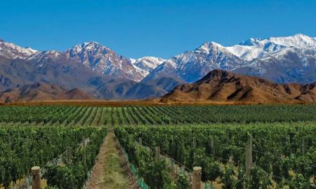 Al sur de la provincia de Mendoza se pueden encontrar distintos destinos que proponen un reseteo total. Al sur de la provincia de Mendoza se pueden encontrar distintos destinos que proponen un reseteo total.