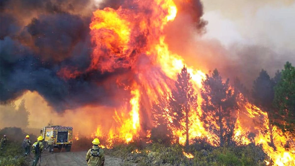 Rodrigo explicó que el daño medioambiental se prolonga en el tiempo ya que los bosques tardan entre 30 y 40 años en recuperarse