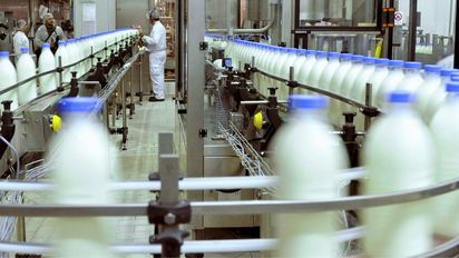 ¿Puede la lechería argentina sostener el salto exportador que necesita?