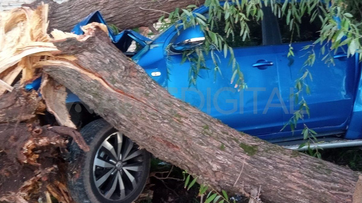 La camioneta terminó incrustada en un árbol frente al motel Atenas.&nbsp;