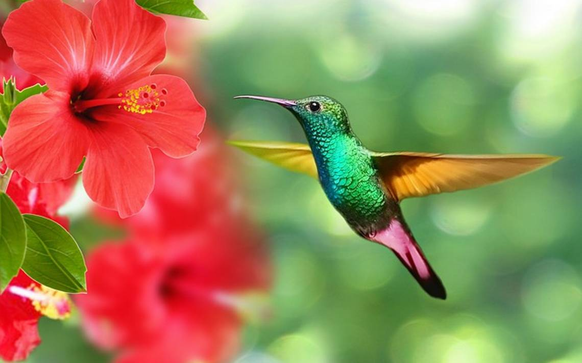 El colibrí simboliza el amor y la alegría de la vida.
