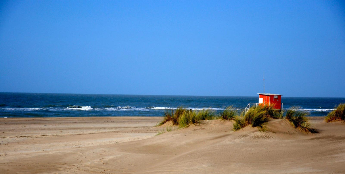 Las Gaviotas