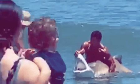 video: lucha con un tiburon cuerpo a cuerpo para quitarle un anzuelo video: lucha con un tiburon cuerpo a cuerpo para quitarle un anzuelo