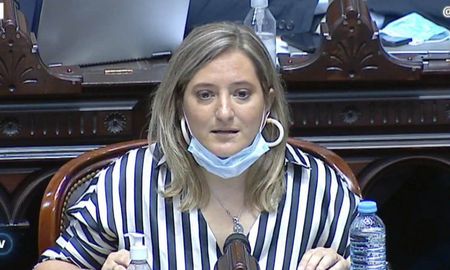 La diputada nacional de la Coalición Cívica por Santa Fe, Lucila Lehmann, pidió al inicio del debate que se postergue para el 6 de enero. La moción fue rechazada. La diputada nacional de la Coalición Cívica por Santa Fe, Lucila Lehmann, pidió al inicio del debate que se postergue para el 6 de enero. La moción fue rechazada.