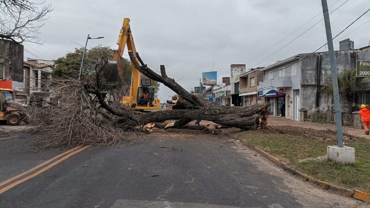La remoción se realizó como parte de las obras complementarias del nuevo puente Santa Fe - Santo Tomé.