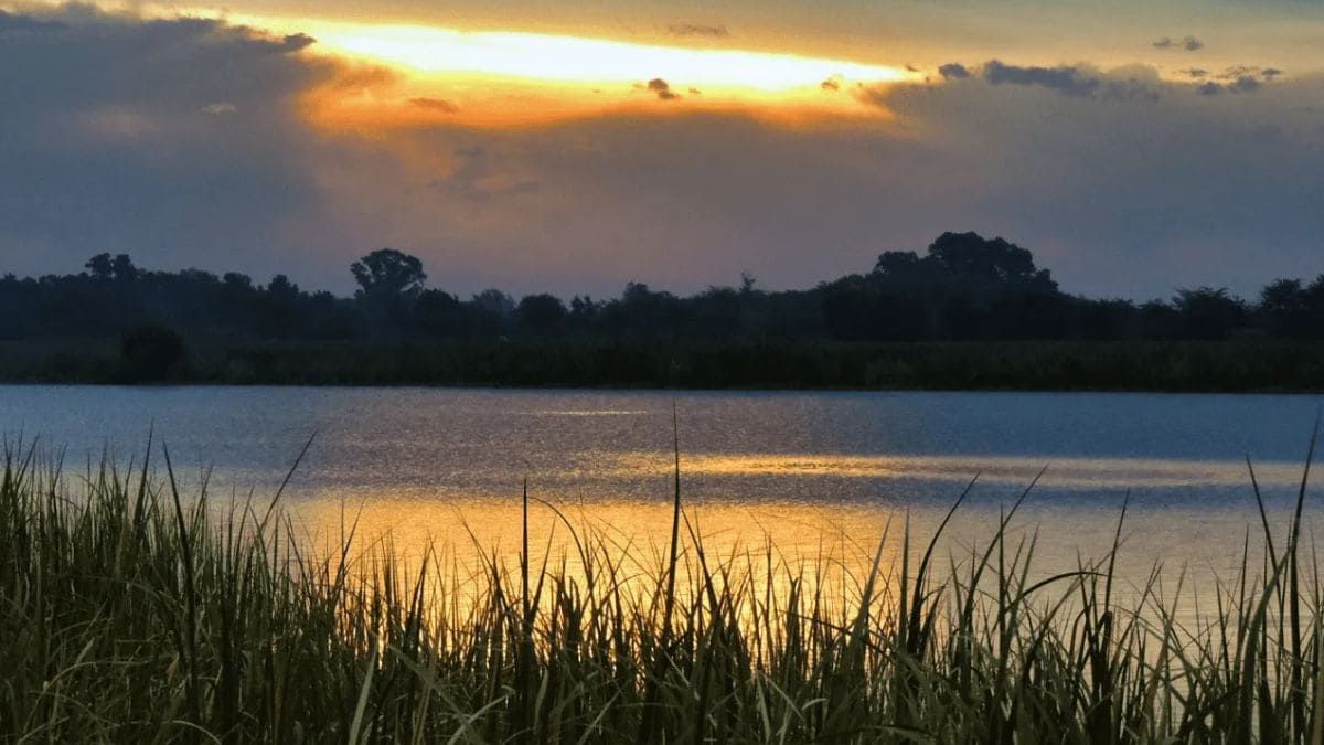 La reserva natural se encuentra a 50 kilómetros de Buenos Aires y cuenta con más de 200 especies y mucha naturaleza.