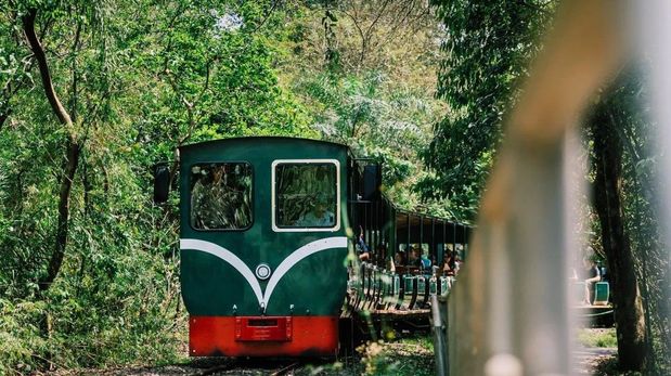 El Tren Ecológico de la Selva ofrece una conexión única con la naturaleza misionera en un recorrido sin igual.