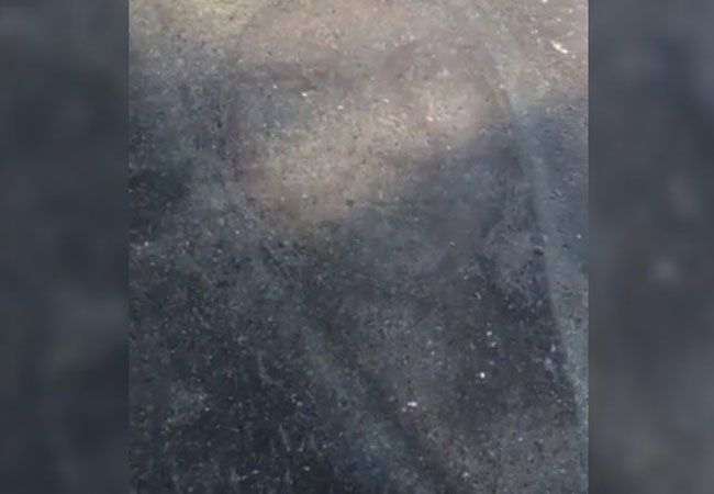 Virgen de la Anunciación