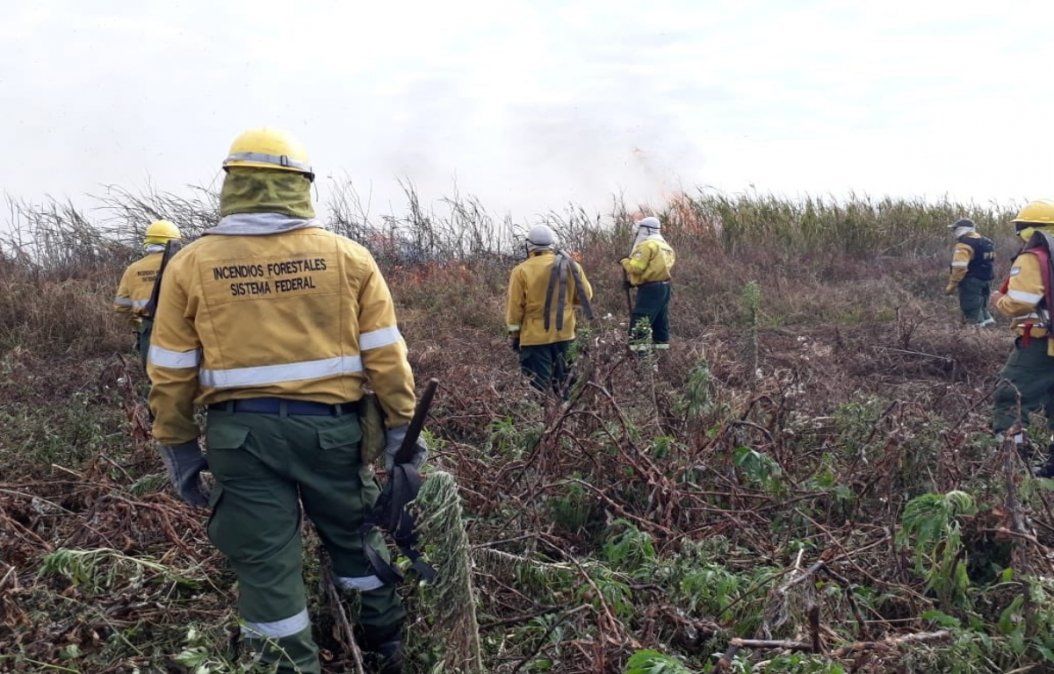 Grupo Albatros&nbsp;