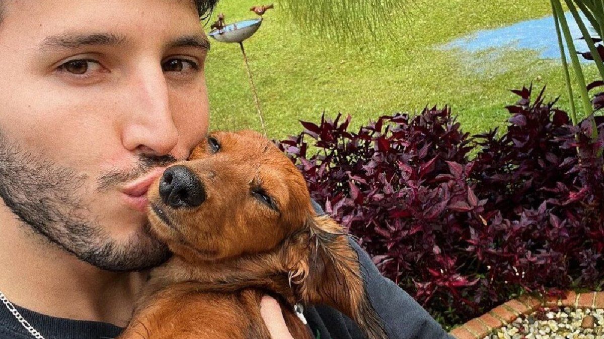 Fotos y videos: Sebastián Yatra tiene un enorme jardín con cancha de fútbol