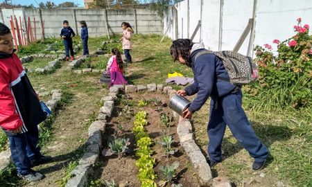 Ofrecen capacitaciones y tecnología para instalar huertas agroecológicas en las escuelas. Ofrecen capacitaciones y tecnología para instalar huertas agroecológicas en las escuelas.