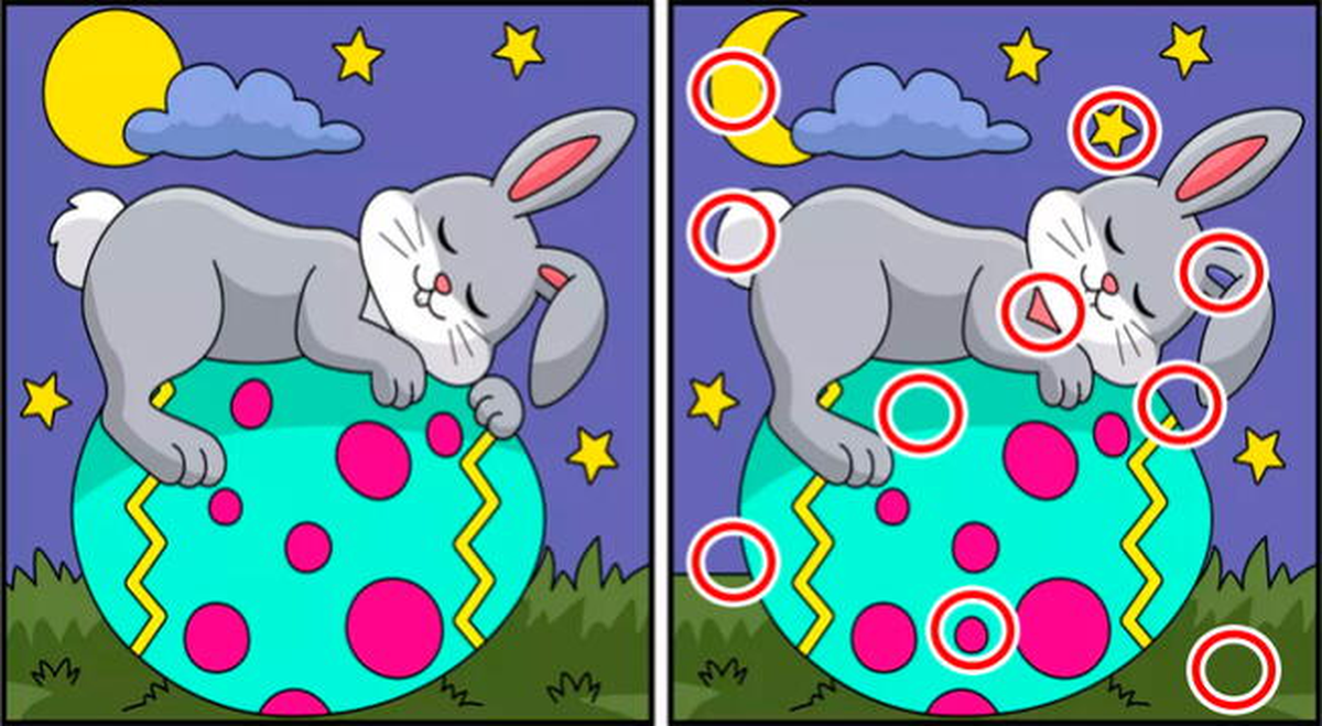 Solución del reto visual. Solución del reto visual.