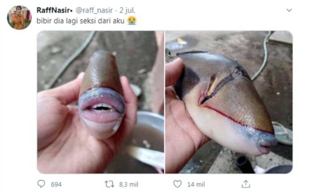 Un pez con boca de humano fue hallado en Indonesia.