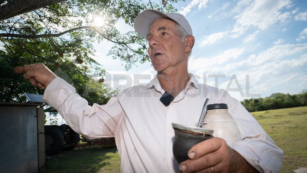 En las últimas dos semanas, Miguel Font cavó cuatro perforaciones en sus molinos para poder tener agua.