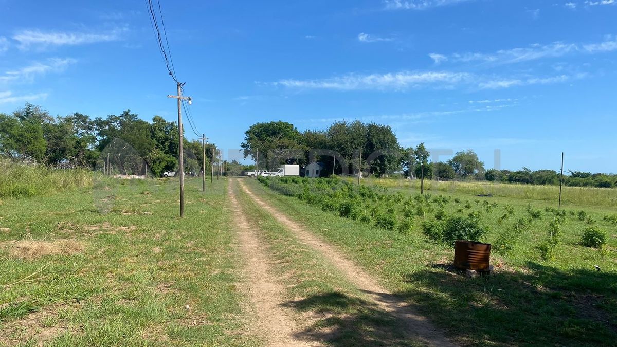 El dueño del campo se encontraba prófugo y era intensamente buscado por la Justicia.