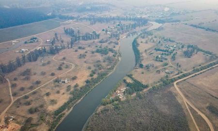La mortandad de peces en el río Carcarañá se extendió por varias localidades y generó alarma entre los habitantes. La mortandad de peces en el río Carcarañá se extendió por varias localidades y generó alarma entre los habitantes.