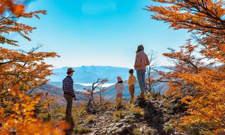 El cambio de color de las hojas en otoño responde a la preparación del árbol para el invierno, un proceso que transforma el paisajes en Argentina. El cambio de color de las hojas en otoño responde a la preparación del árbol para el invierno, un proceso que transforma el paisajes en Argentina.