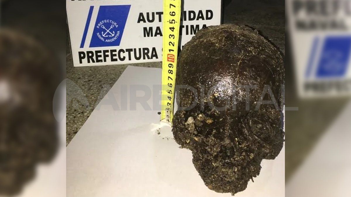 El tétrico hallazgo que encontraron los investigadores. 