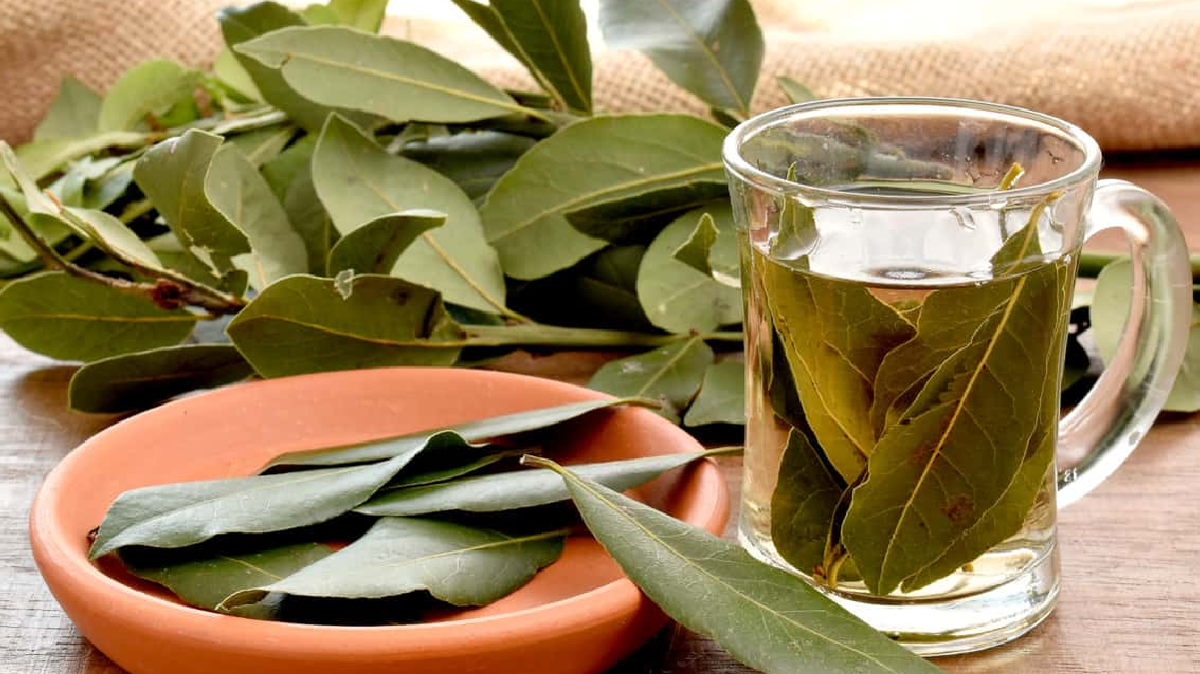 Posee acción diurética, antifúngica, antirreumática, antiinflamatoria, digestiva, estimulante y antioxidante.