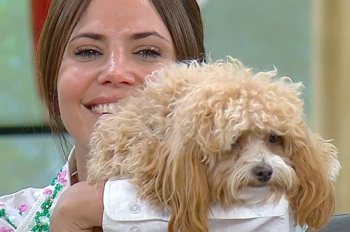 Romina Uhrig mostró a un muy desmejorado Caramelo, el perro que adoptó en Gran Hermano. Romina Uhrig mostró a un muy desmejorado Caramelo, el perro que adoptó en Gran Hermano.