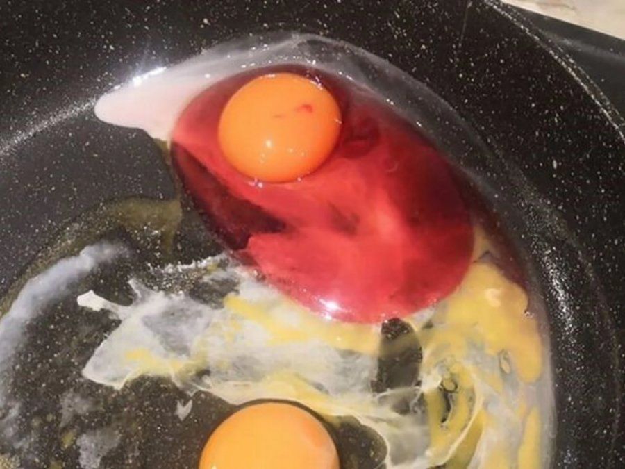 Una mujer encontró un huevo con la clara roja y encendió las alarmas