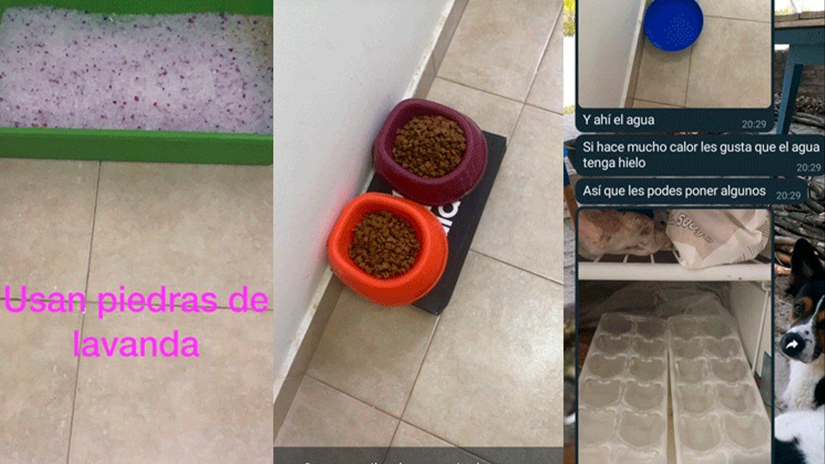 El posteo se volvió tremendamente viral en la red social Twitter.&nbsp;