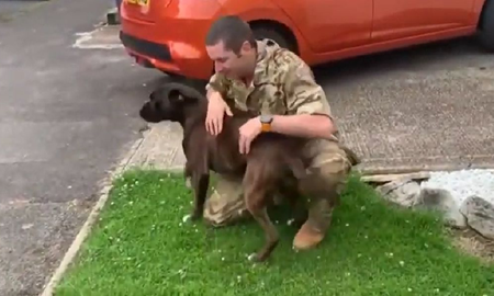 El apasionante reencuentro entre un militar y su perro guardián curado de cáncer El apasionante reencuentro entre un militar y su perro guardián curado de cáncer