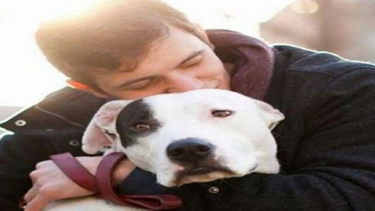 Un hombre suspendió su casamiento luego de enterarse que su novia casi mata a su perro