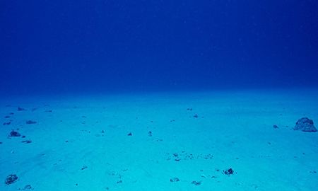 cientificos descubren una burbujeante fuente de dioxido de carbono en el fondo del mar cientificos descubren una burbujeante fuente de dioxido de carbono en el fondo del mar