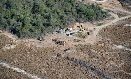 El norte argentino es la región en la que más avanza la deforestación para sembrar pasturas ganaderas o cultivos agrícolas como la soja. El norte argentino es la región en la que más avanza la deforestación para sembrar pasturas ganaderas o cultivos agrícolas como la soja.